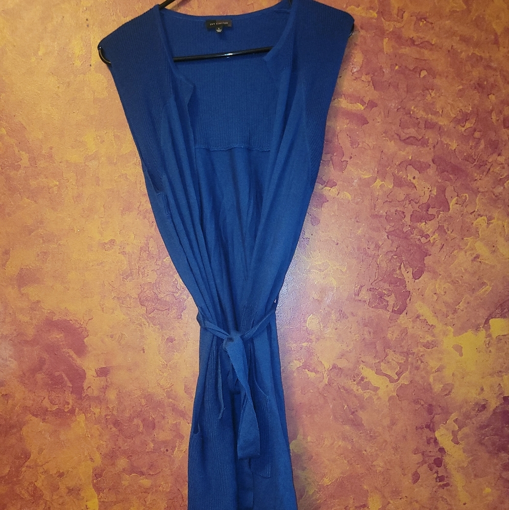 The Limited Blue Women's Vest